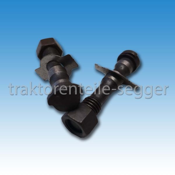 Satz Pleuelschrauben Fichtel & Sachs D 600 Holder A 12 B 12 E 12